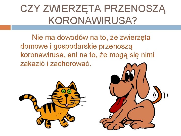 CZY ZWIERZĘTA PRZENOSZĄ KORONAWIRUSA? Nie ma dowodów na to, że zwierzęta domowe i gospodarskie