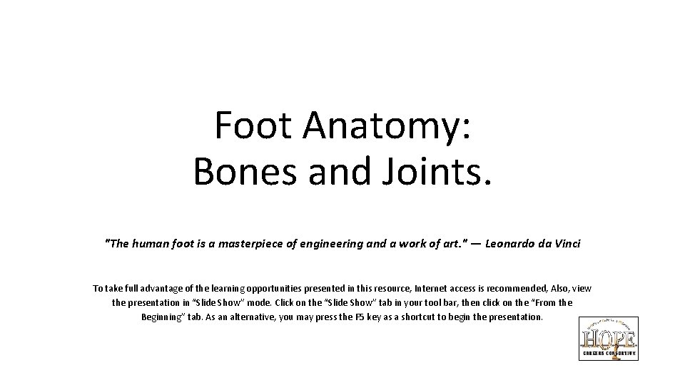 Foot Anatomy: Bones and Joints. "The human foot is a masterpiece of engineering and