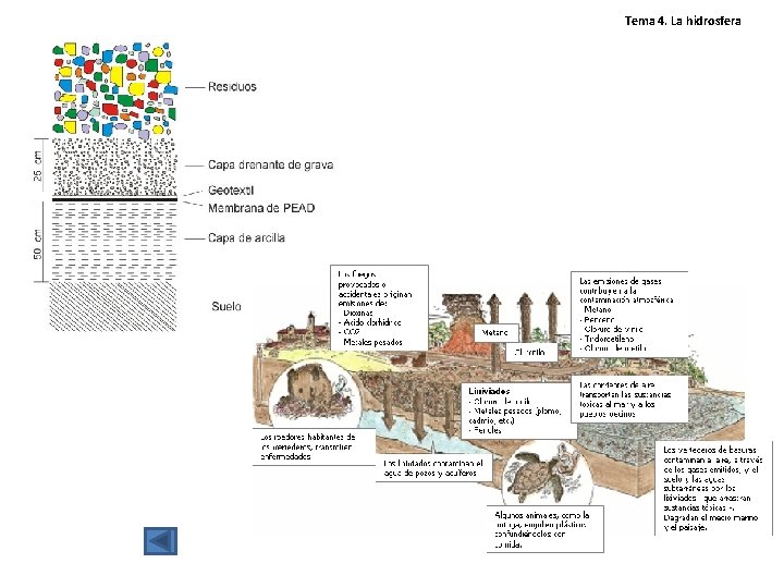 Tema 4. La hidrosfera Tema 4. La hidrosfera