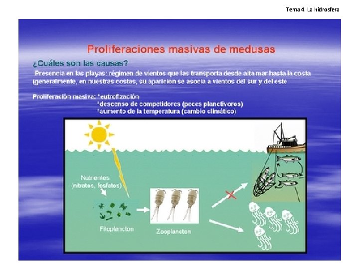 Tema 4. La hidrosfera Tema 4. La hidrosfera
