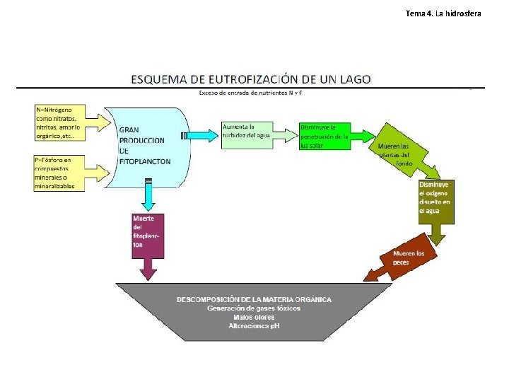 Tema 4. La hidrosfera Tema 4. La hidrosfera