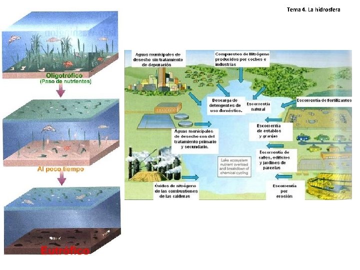 Tema 4. La hidrosfera Tema 4. La hidrosfera