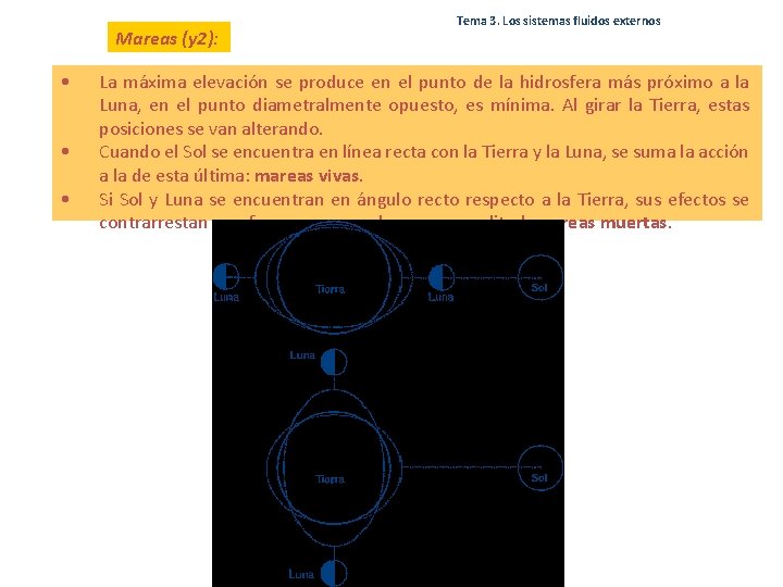 Mareas (y 2): • • • Tema 3. Los sistemas fluidos externos La máxima Mareas (y 2): • • • Tema 3. Los sistemas fluidos externos La máxima
