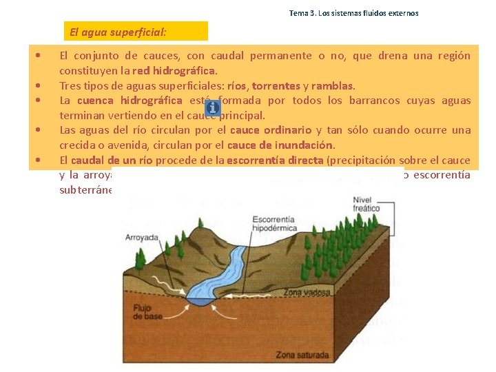 Tema 3. Los sistemas fluidos externos El agua superficial: • • • El conjunto Tema 3. Los sistemas fluidos externos El agua superficial: • • • El conjunto
