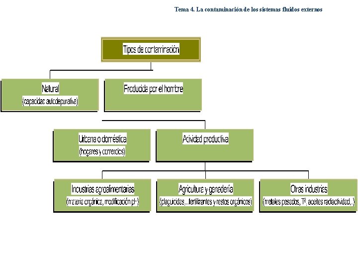 Tema 4. La contaminación de los sistemas fluidos externos Tema 4. La contaminación de los sistemas fluidos externos