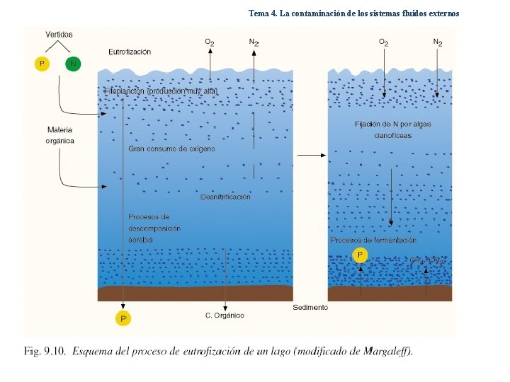 Tema 4. La contaminación de los sistemas fluidos externos Tema 4. La contaminación de los sistemas fluidos externos