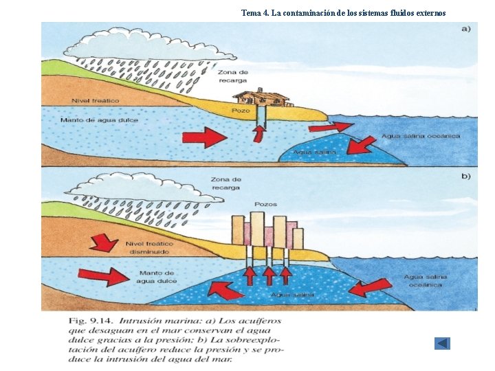 Tema 4. La contaminación de los sistemas fluidos externos Tema 4. La contaminación de los sistemas fluidos externos