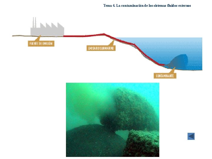 Tema 4. La contaminación de los sistemas fluidos externos Tema 4. La contaminación de los sistemas fluidos externos