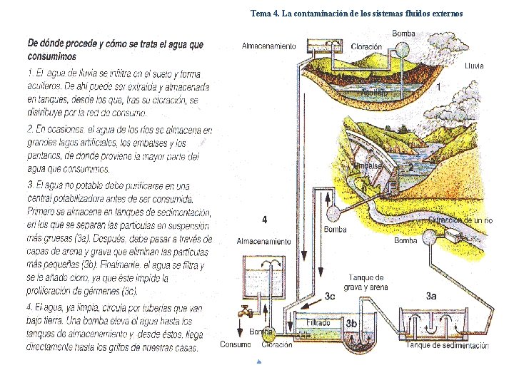 Tema 4. La contaminación de los sistemas fluidos externos Tema 4. La contaminación de los sistemas fluidos externos