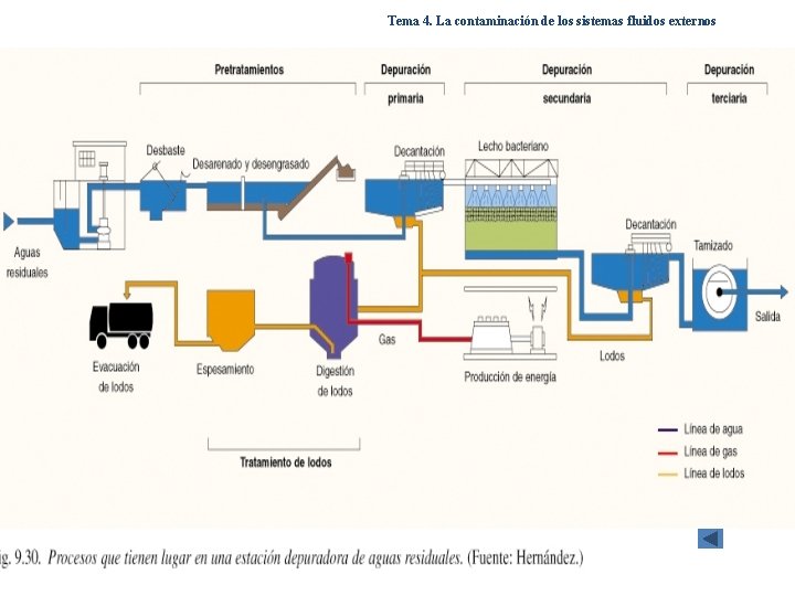 Tema 4. La contaminación de los sistemas fluidos externos Tema 4. La contaminación de los sistemas fluidos externos