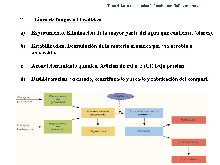 Tema 4. La contaminación de los sistemas fluidos externos 2. Línea de fangos o Tema 4. La contaminación de los sistemas fluidos externos 2. Línea de fangos o