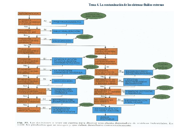 Tema 4. La contaminación de los sistemas fluidos externos Tema 4. La contaminación de los sistemas fluidos externos
