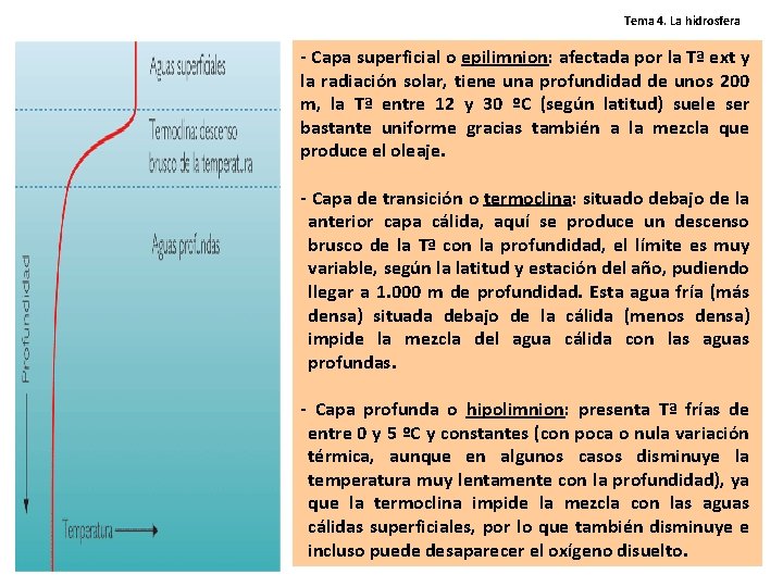 Tema 4. La hidrosfera - Capa superficial o epilimnion: afectada por la Tª ext Tema 4. La hidrosfera - Capa superficial o epilimnion: afectada por la Tª ext