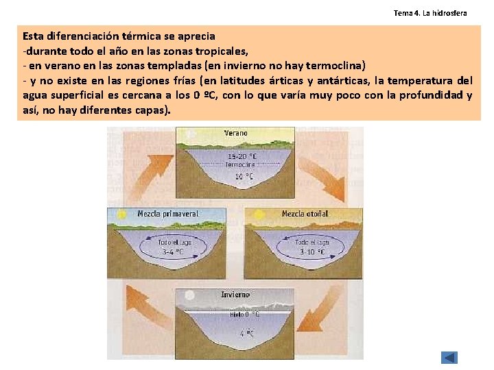 Tema 4. La hidrosfera Esta diferenciación térmica se aprecia -durante todo el año en Tema 4. La hidrosfera Esta diferenciación térmica se aprecia -durante todo el año en