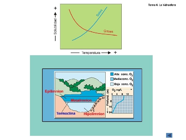 Tema 4. La hidrosfera Tema 4. La hidrosfera