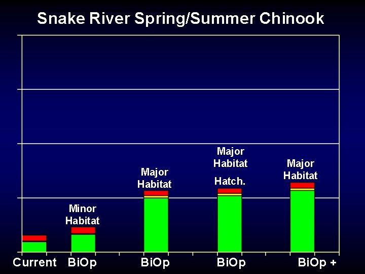 Snake River Spring/Summer Chinook Major Habitat Hatch. Major Habitat Minor Habitat Current Bi. Op