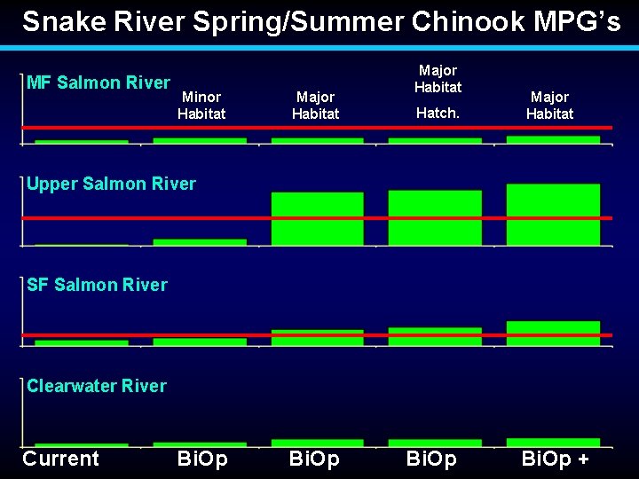 Snake River Spring/Summer Chinook MPG’s MF Salmon River Minor Habitat Major Habitat Hatch. Major