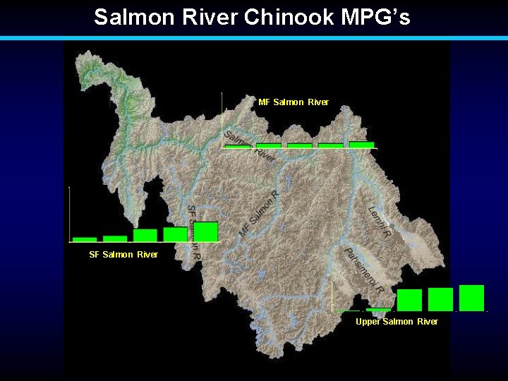 Salmon River Chinook MPG’s MF Salmon River SF Salmon River Upper Salmon River 