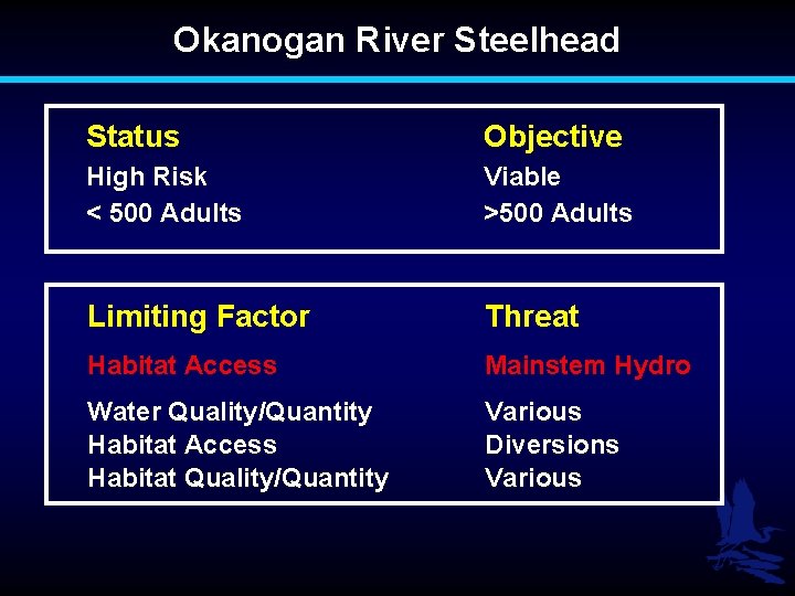 Okanogan River Steelhead Status Objective High Risk < 500 Adults Viable >500 Adults Limiting
