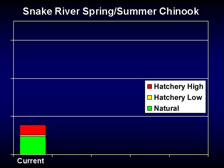 Snake River Spring/Summer Chinook Current 