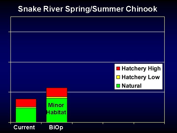 Snake River Spring/Summer Chinook Minor Habitat Current Bi. Op 