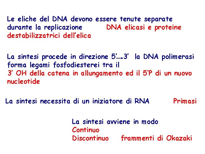 Le eliche del DNA devono essere tenute separate durante la replicazione DNA elicasi e