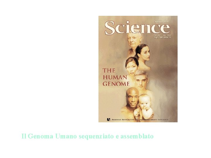 2000 -2001 Il Genoma Umano sequenziato e assemblato 