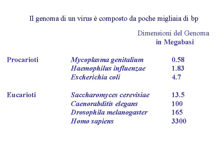 Il genoma di un virus è composto da poche migliaia di bp Dimensioni del