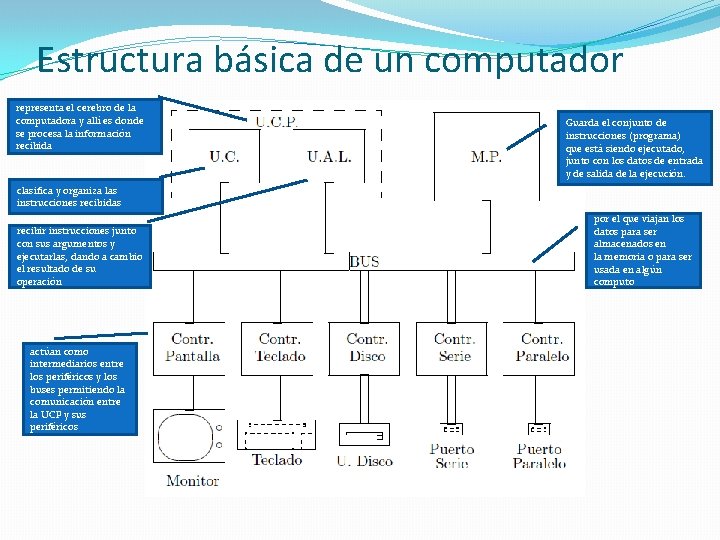 Estructura básica de un computador representa el cerebro de la computadora y allí es