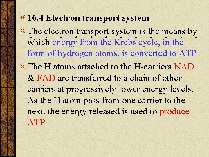 16. 4 Electron transport system The electron transport system is the means by which 16. 4 Electron transport system The electron transport system is the means by which