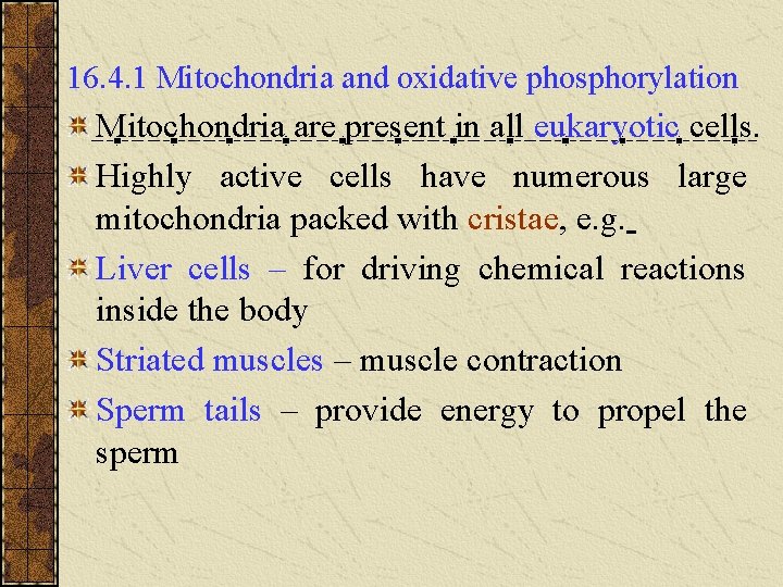 16. 4. 1 Mitochondria and oxidative phosphorylation Mitochondria are present in all eukaryotic cells. 16. 4. 1 Mitochondria and oxidative phosphorylation Mitochondria are present in all eukaryotic cells.