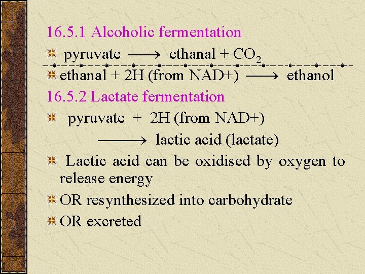 16. 5. 1 Alcoholic fermentation pyruvate ethanal + CO 2 ethanal + 2 H 16. 5. 1 Alcoholic fermentation pyruvate ethanal + CO 2 ethanal + 2 H