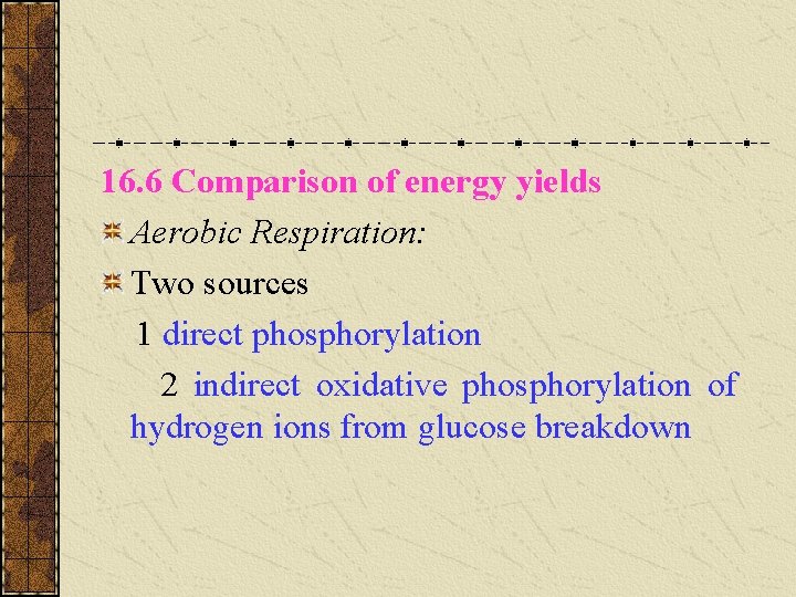 16. 6 Comparison of energy yields Aerobic Respiration: Two sources 1 direct phosphorylation 2 16. 6 Comparison of energy yields Aerobic Respiration: Two sources 1 direct phosphorylation 2