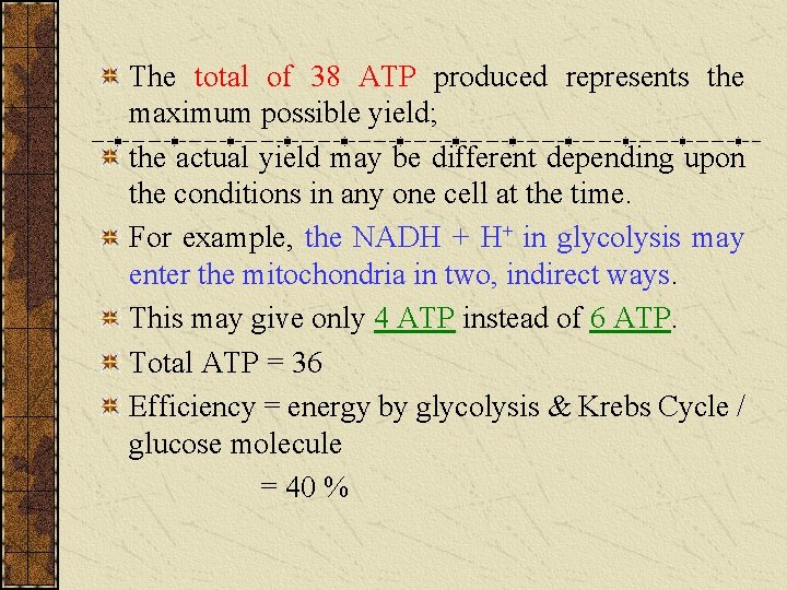 The total of 38 ATP produced represents the maximum possible yield; the actual yield The total of 38 ATP produced represents the maximum possible yield; the actual yield