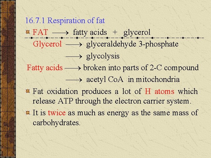 16. 7. 1 Respiration of fat FAT fatty acids + glycerol Glycerol glyceraldehyde 3 16. 7. 1 Respiration of fat FAT fatty acids + glycerol Glycerol glyceraldehyde 3