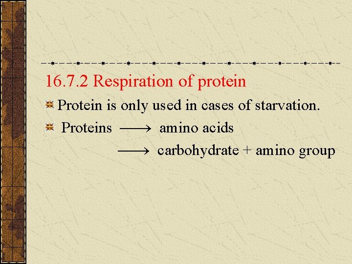 16. 7. 2 Respiration of protein Protein is only used in cases of starvation. 16. 7. 2 Respiration of protein Protein is only used in cases of starvation.