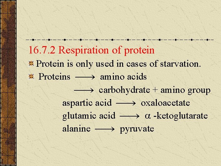 16. 7. 2 Respiration of protein Protein is only used in cases of starvation. 16. 7. 2 Respiration of protein Protein is only used in cases of starvation.