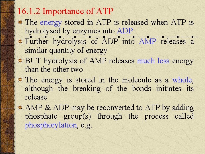 16. 1. 2 Importance of ATP The energy stored in ATP is released when 16. 1. 2 Importance of ATP The energy stored in ATP is released when