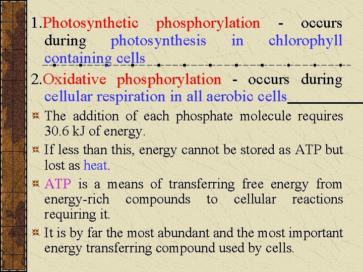 1. Photosynthetic phosphorylation - occurs during photosynthesis in chlorophyll containing cells 2. Oxidative phosphorylation 1. Photosynthetic phosphorylation - occurs during photosynthesis in chlorophyll containing cells 2. Oxidative phosphorylation
