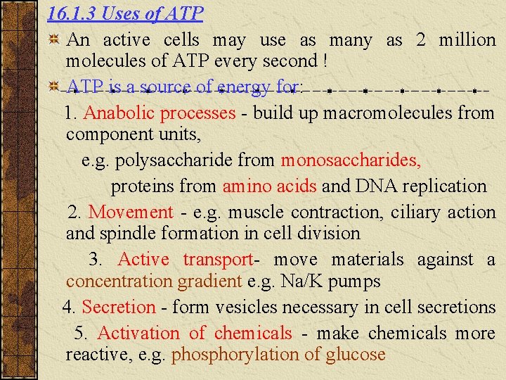 16. 1. 3 Uses of ATP An active cells may use as many as 16. 1. 3 Uses of ATP An active cells may use as many as