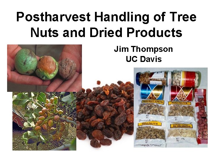 Postharvest Handling of Tree Nuts and Dried Products Jim Thompson UC Davis 