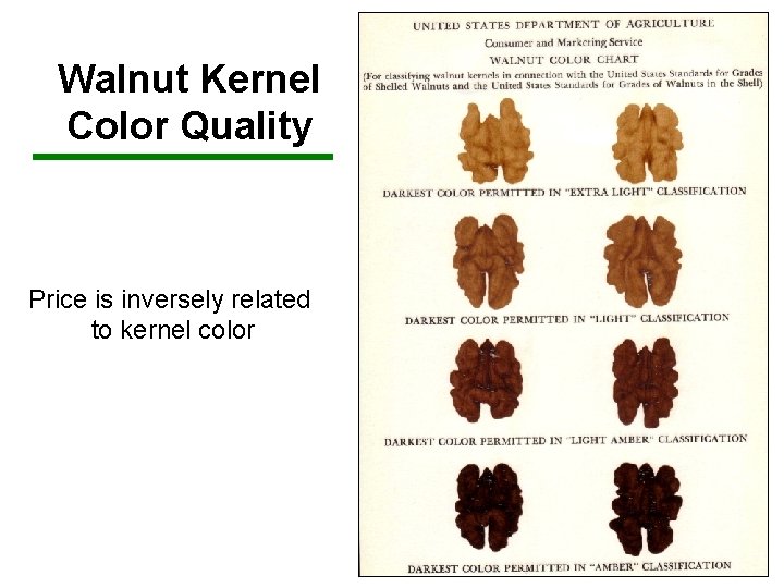 Walnut Kernel Color Quality Price is inversely related to kernel color 