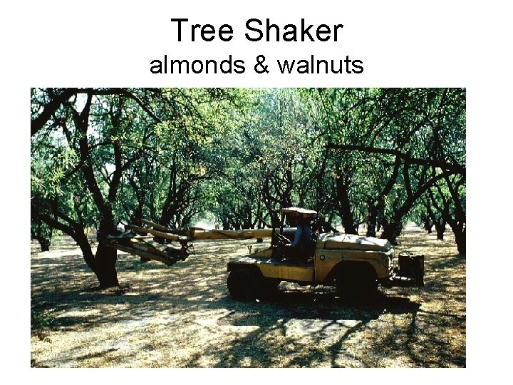 Tree Shaker almonds & walnuts 