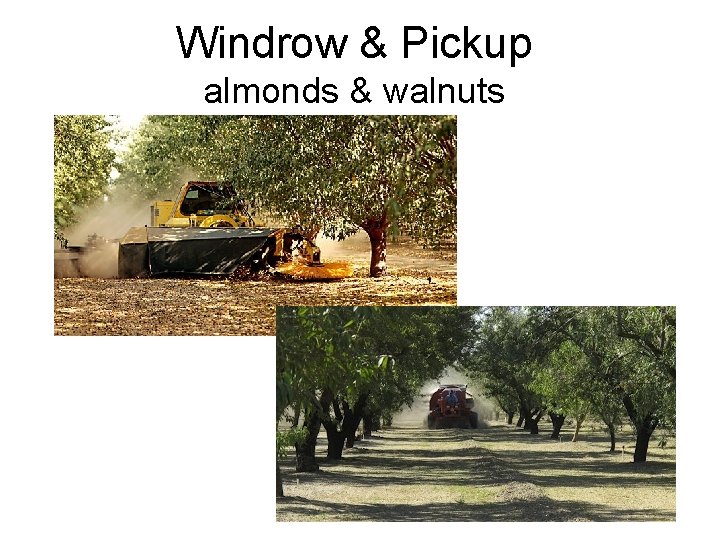 Windrow & Pickup almonds & walnuts 