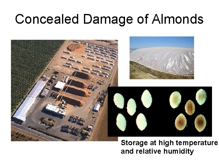 Concealed Damage of Almonds Storage at high temperature and relative humidity 