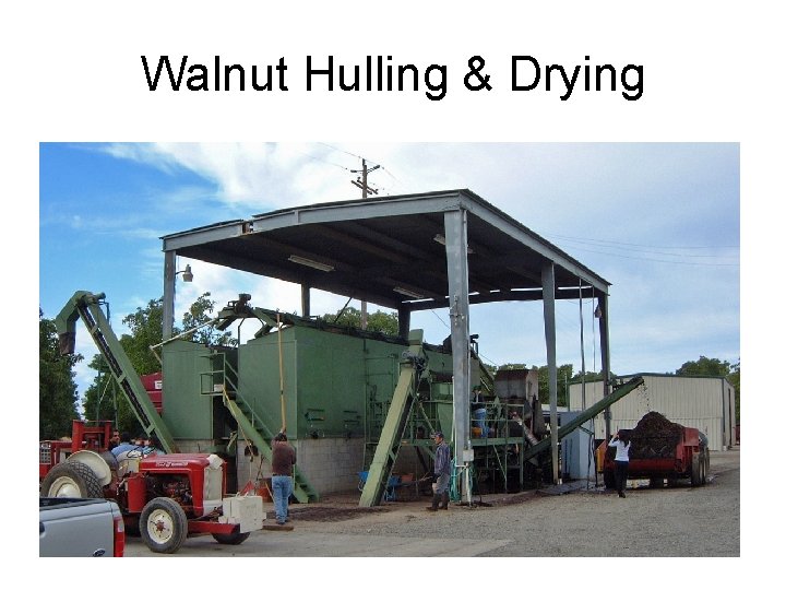 Walnut Hulling & Drying 