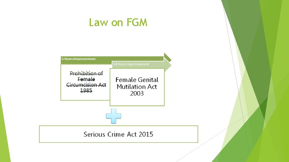 Law on FGM 