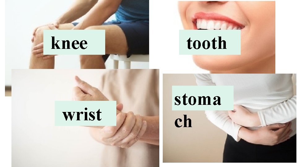 knee wrist tooth stoma ch 