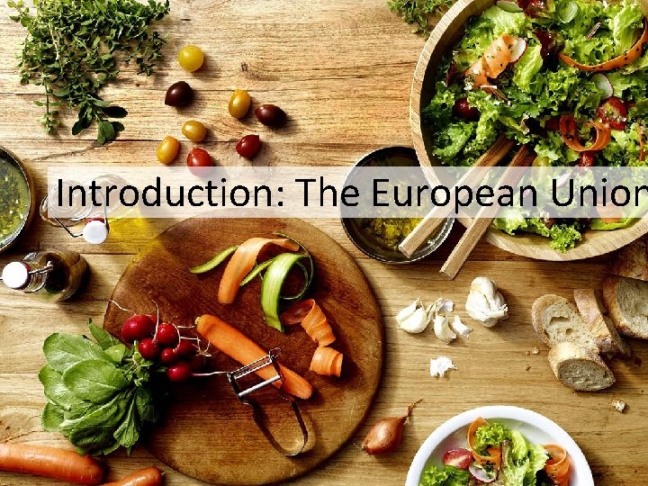 Introduction: The European Union 