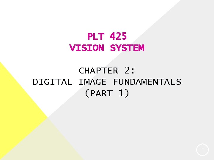 PLT 425 VISION SYSTEM CHAPTER 2: DIGITAL IMAGE FUNDAMENTALS (PART 1) 1 
